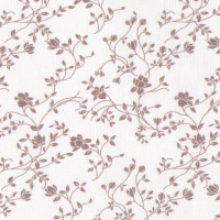 blanc branques beige SET1C 30430E