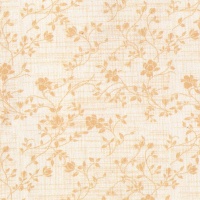 crema branques més fosques SET2ZAR0030409A