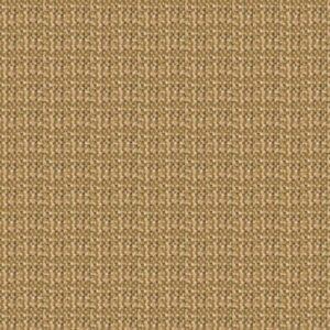 bàsic color palla mostra molt petita 40080150436689