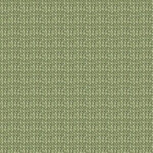 bàsic verd herba mostra molt petita 40080150436695