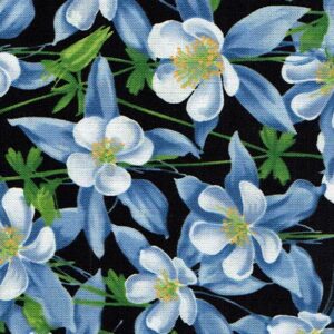negre flors blau blanc i groc  DIPROSACART228