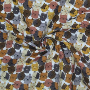 cares de gatets ocre marró i gris 40080150437279