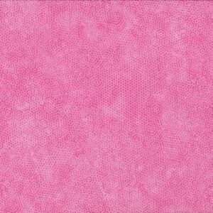 rosa clar Dimples E6 Carnation 40080150437314