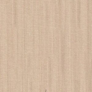 Thin Drill Tonal Plain Neutral 40080150437331